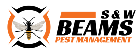 Beams Pest